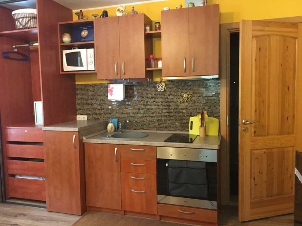 Du Draugai Apartment ดรูซกินินไก ภายนอก รูปภาพ